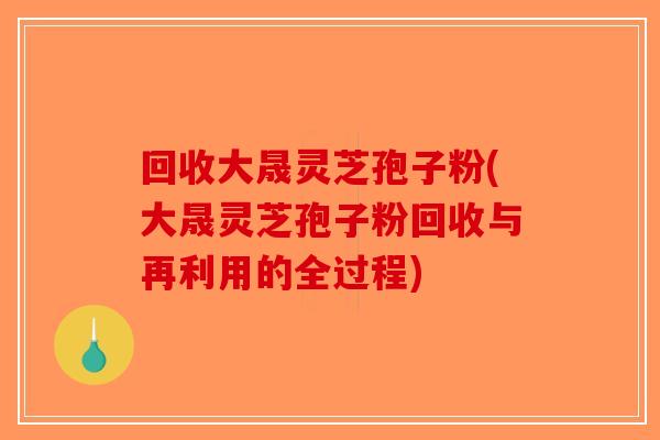 回收大晟灵芝孢子粉(大晟灵芝孢子粉回收与再利用的全过程)-第1张图片-破壁灵芝孢子粉研究指南