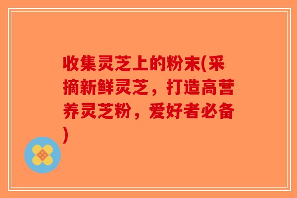 收集灵芝上的粉末(采摘新鲜灵芝,打造高营养灵芝粉,爱好者必备)-第1张图片-破壁灵芝孢子粉研究指南 收集灵芝上的粉末(采摘新鲜灵芝,打造高营养灵芝粉,爱好者必备)-第1张图片-破壁灵芝孢子粉研究指南