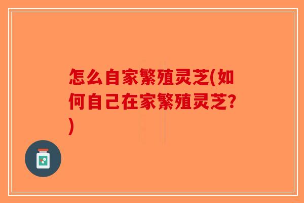 怎么自家繁殖灵芝(如何自己在家繁殖灵芝?)-第1张图片-破壁灵芝孢子粉研究指南 怎么自家繁殖灵芝(如何自己在家繁殖灵芝?)-第1张图片-破壁灵芝孢子粉研究指南