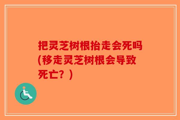 把灵芝树根抬走会死吗(移走灵芝树根会导致死亡?)-第1张图片-破壁灵芝孢子粉研究指南 把灵芝树根抬走会死吗(移走灵芝树根会导致死亡?)-第1张图片-破壁灵芝孢子粉研究指南