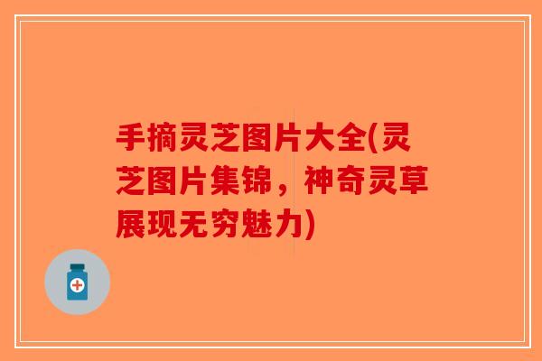 手摘灵芝图片大全(灵芝图片集锦，神奇灵草展现无穷魅力)-第1张图片-破壁灵芝孢子粉研究指南