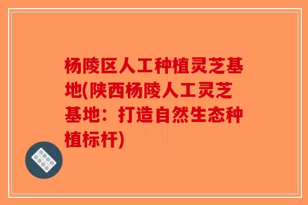 杨陵区人工种植灵芝基地(陕西杨陵人工灵芝基地：打造自然生态种植标杆)-第1张图片-破壁灵芝孢子粉研究指南