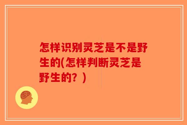 怎样识别灵芝是不是野生的(怎样判断灵芝是野生的？)-第1张图片-破壁灵芝孢子粉研究指南
