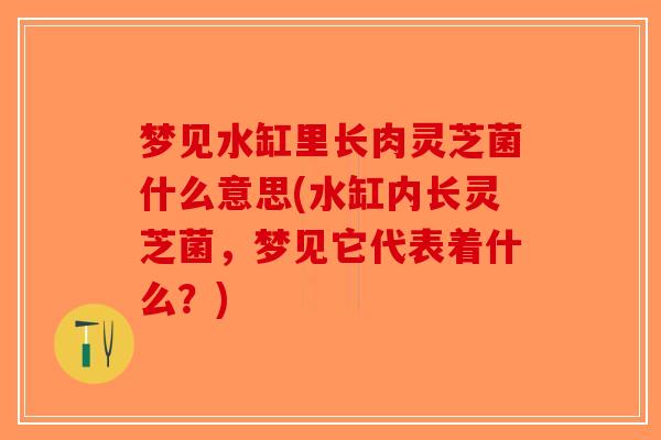 梦见水缸里长肉灵芝菌什么意思(水缸内长灵芝菌，梦见它代表着什么？)-第1张图片-破壁灵芝孢子粉研究指南