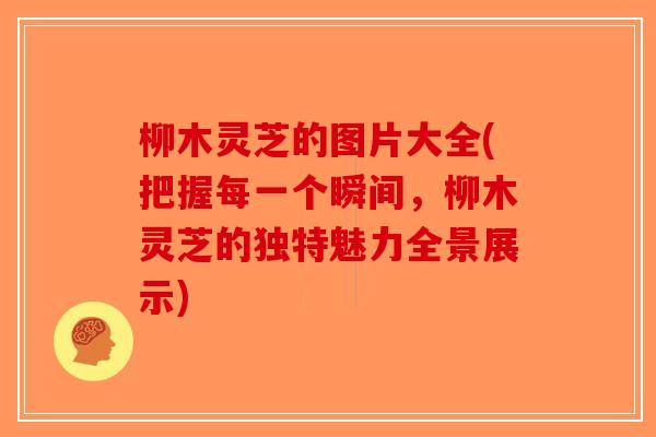 柳木灵芝的图片大全(把握每一个瞬间，柳木灵芝的独特魅力全景展示)-第1张图片-破壁灵芝孢子粉研究指南
