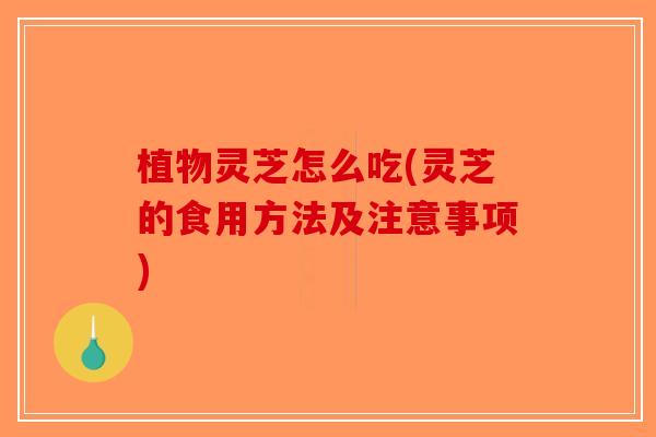植物灵芝怎么吃(灵芝的食用方法及注意事项)-第1张图片-破壁灵芝孢子粉研究指南 植物灵芝怎么吃(灵芝的食用方法及注意事项)-第1张图片-破壁灵芝孢子粉研究指南