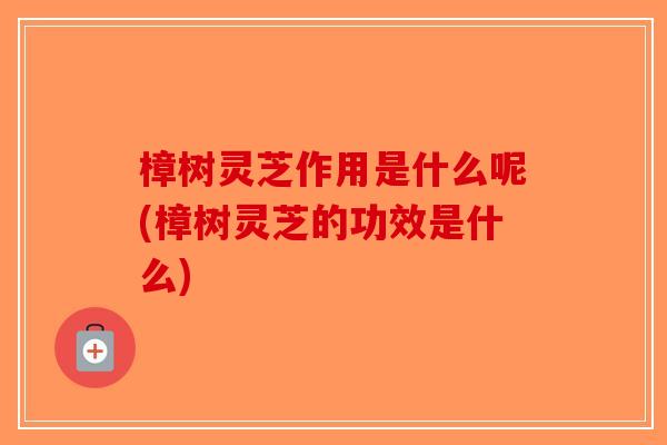 樟树灵芝作用是什么呢(樟树灵芝的功效是什么)-第1张图片-破壁灵芝孢子粉研究指南