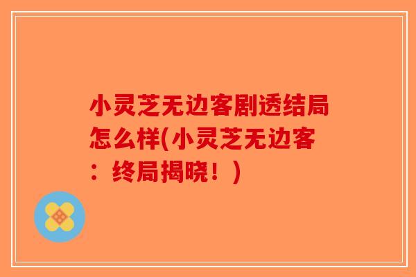 小灵芝无边客剧透结局怎么样(小灵芝无边客：终局揭晓！)-第1张图片-破壁灵芝孢子粉研究指南