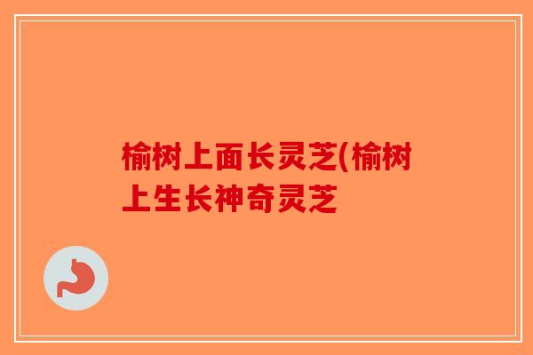 榆树上面长灵芝(榆树上生长神奇灵芝-第1张图片-破壁灵芝孢子粉研究指南