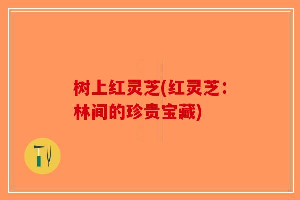 树上红灵芝(红灵芝:林间的珍贵宝藏)-第1张图片-破壁灵芝孢子粉研究指南 树上红灵芝(红灵芝:林间的珍贵宝藏)-第1张图片-破壁灵芝孢子粉研究指南