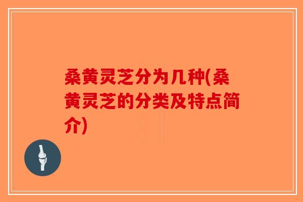桑黄灵芝分为几种(桑黄灵芝的分类及特点简介)-第1张图片-破壁灵芝孢子粉研究指南