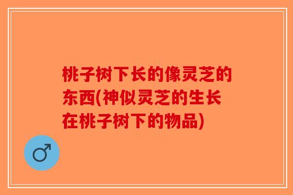 桃子树下长的像灵芝的东西(神似灵芝的生长在桃子树下的物品)-第1张图片-破壁灵芝孢子粉研究指南 桃子树下长的像灵芝的东西(神似灵芝的生长在桃子树下的物品)-第1张图片-破壁灵芝孢子粉研究指南