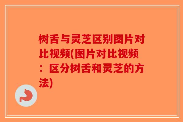 树舌与灵芝区别图片对比视频(图片对比视频:区分树舌和灵芝的方法)-第1张图片-破壁灵芝孢子粉研究指南 树舌与灵芝区别图片对比视频(图片对比视频:区分树舌和灵芝的方法)-第1张图片-破壁灵芝孢子粉研究指南