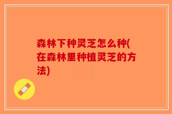 森林下种灵芝怎么种(在森林里种植灵芝的方法)-第1张图片-破壁灵芝孢子粉研究指南