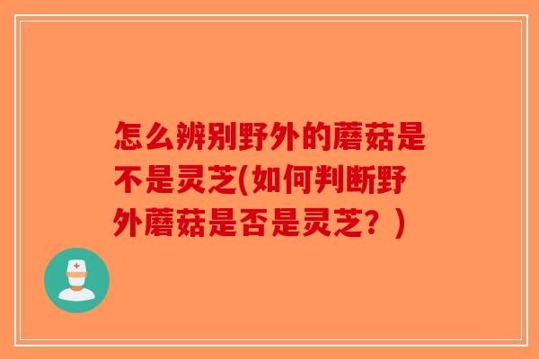 怎么辨别野外的蘑菇是不是灵芝(如何判断野外蘑菇是否是灵芝?)-第1张图片-破壁灵芝孢子粉研究指南 怎么辨别野外的蘑菇是不是灵芝(如何判断野外蘑菇是否是灵芝?)-第1张图片-破壁灵芝孢子粉研究指南