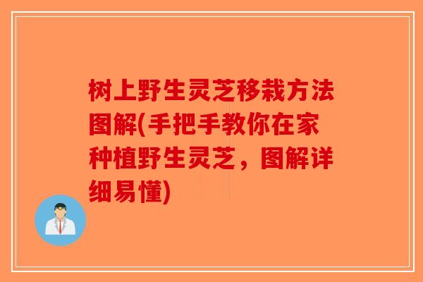 树上野生灵芝移栽方法图解(手把手教你在家种植野生灵芝，图解详细易懂)-第1张图片-破壁灵芝孢子粉研究指南