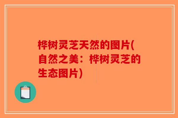 桦树灵芝天然的图片(自然之美：桦树灵芝的生态图片)-第1张图片-破壁灵芝孢子粉研究指南