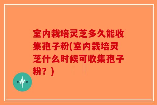 室内栽培灵芝多久能收集孢子粉(室内栽培灵芝什么时候可收集孢子粉？)-第1张图片-破壁灵芝孢子粉研究指南