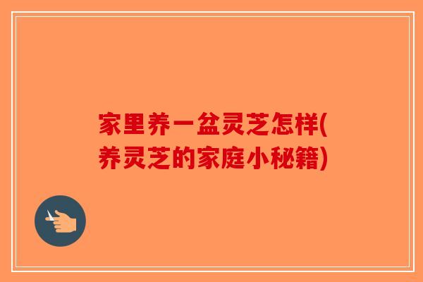 家里养一盆灵芝怎样(养灵芝的家庭小秘籍)-第1张图片-破壁灵芝孢子粉研究指南