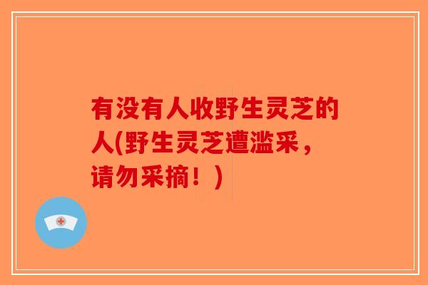 有没有人收野生灵芝的人(野生灵芝遭滥采,请勿采摘!)-第1张图片-破壁灵芝孢子粉研究指南 有没有人收野生灵芝的人(野生灵芝遭滥采,请勿采摘!)-第1张图片-破壁灵芝孢子粉研究指南