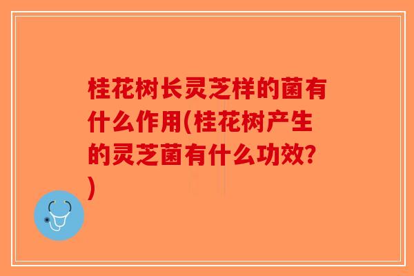 桂花树长灵芝样的菌有什么作用(桂花树产生的灵芝菌有什么功效?)-第1张图片-破壁灵芝孢子粉研究指南 桂花树长灵芝样的菌有什么作用(桂花树产生的灵芝菌有什么功效?)-第1张图片-破壁灵芝孢子粉研究指南