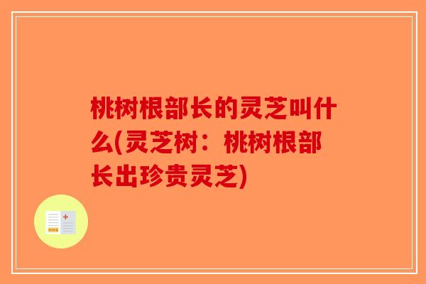 桃树根部长的灵芝叫什么(灵芝树：桃树根部长出珍贵灵芝)-第1张图片-破壁灵芝孢子粉研究指南