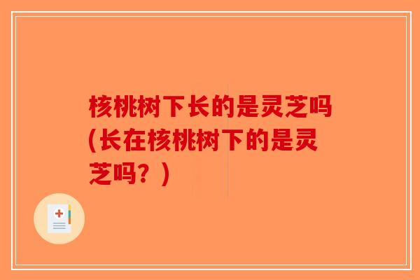 核桃树下长的是灵芝吗(长在核桃树下的是灵芝吗?)-第1张图片-破壁灵芝孢子粉研究指南 核桃树下长的是灵芝吗(长在核桃树下的是灵芝吗?)-第1张图片-破壁灵芝孢子粉研究指南