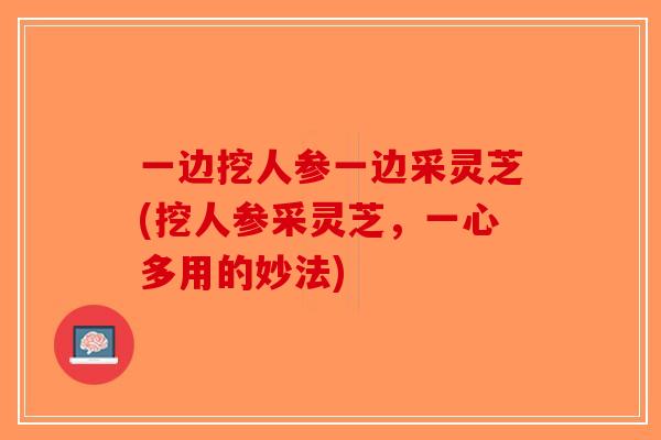 一边挖人参一边采灵芝(挖人参采灵芝，一心多用的妙法)-第1张图片-破壁灵芝孢子粉研究指南