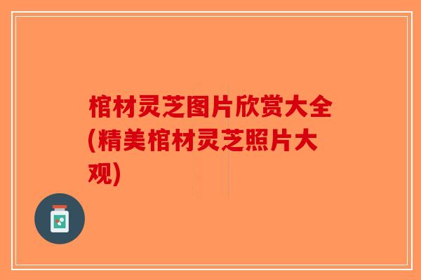 棺材灵芝图片欣赏大全(精美棺材灵芝照片大观)-第1张图片-破壁灵芝孢子粉研究指南