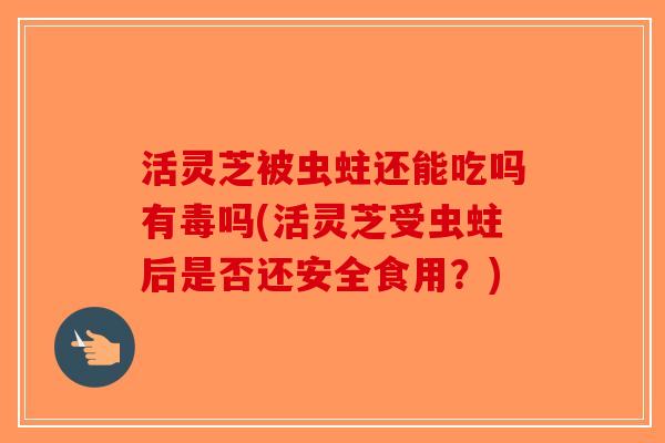 活灵芝被虫蛀还能吃吗有毒吗(活灵芝受虫蛀后是否还安全食用？)-第1张图片-破壁灵芝孢子粉研究指南