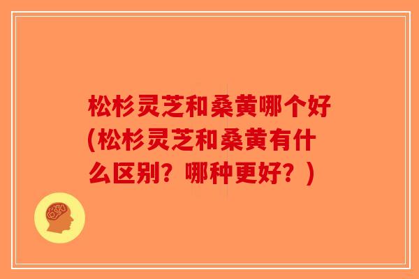 松杉灵芝和桑黄哪个好(松杉灵芝和桑黄有什么区别?哪种更好?)-第1张图片-破壁灵芝孢子粉研究指南 松杉灵芝和桑黄哪个好(松杉灵芝和桑黄有什么区别?哪种更好?)-第1张图片-破壁灵芝孢子粉研究指南