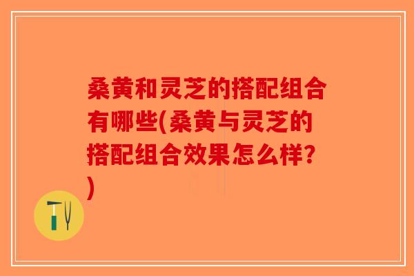 桑黄和灵芝的搭配组合有哪些(桑黄与灵芝的搭配组合效果怎么样？)-第1张图片-破壁灵芝孢子粉研究指南