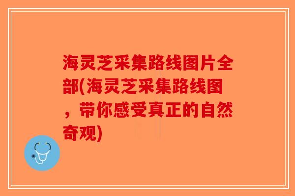 海灵芝采集路线图片全部(海灵芝采集路线图，带你感受真正的自然奇观)-第1张图片-破壁灵芝孢子粉研究指南