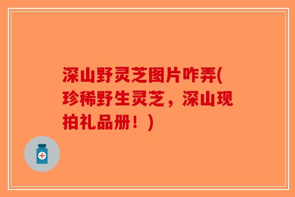 深山野灵芝图片咋弄(珍稀野生灵芝，深山现拍礼品册！)-第1张图片-破壁灵芝孢子粉研究指南