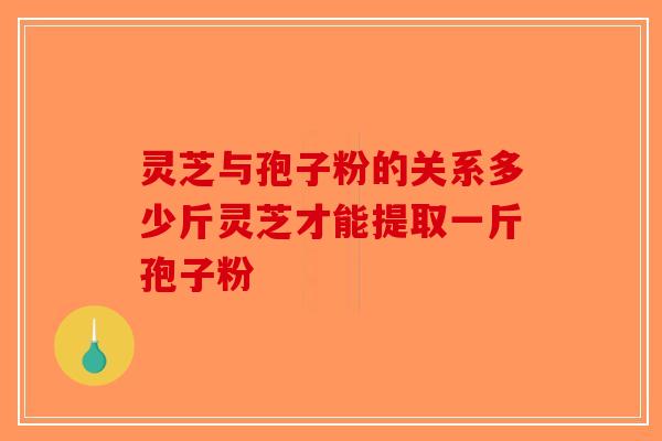 灵芝与孢子粉的关系多少斤灵芝才能提取一斤孢子粉-第1张图片-破壁灵芝孢子粉研究指南