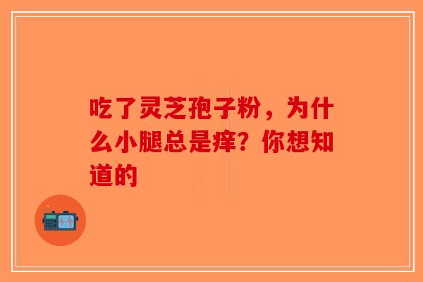 吃了灵芝孢子粉，为什么小腿总是痒？你想知道的-第1张图片-破壁灵芝孢子粉研究指南