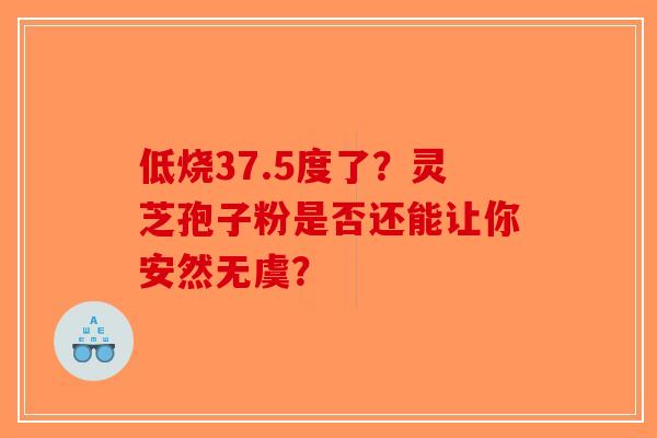 低烧37.5度了？灵芝孢子粉是否还能让你安然无虞？-第1张图片-破壁灵芝孢子粉研究指南