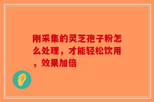 刚采集的灵芝孢子粉怎么处理，才能轻松饮用，效果加倍-第1张图片-破壁灵芝孢子粉研究指南