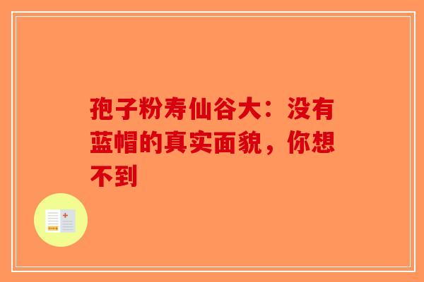 孢子粉寿仙谷大：没有蓝帽的真实面貌，你想不到-第1张图片-破壁灵芝孢子粉研究指南