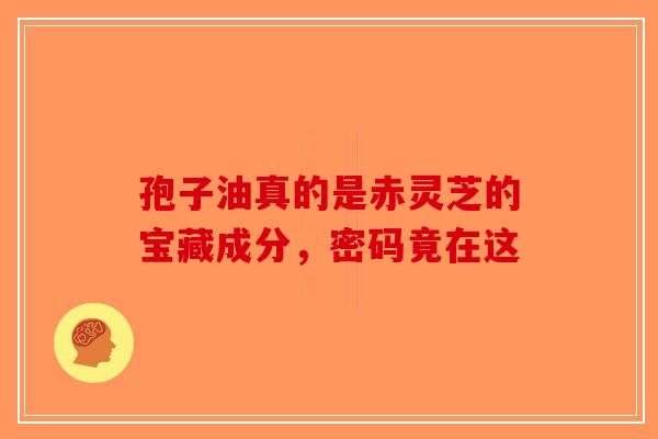 孢子油真的是赤灵芝的宝藏成分，密码竟在这-第1张图片-破壁灵芝孢子粉研究指南