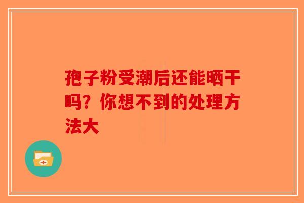 孢子粉受潮后还能晒干吗？你想不到的处理方法大-第1张图片-破壁灵芝孢子粉研究指南