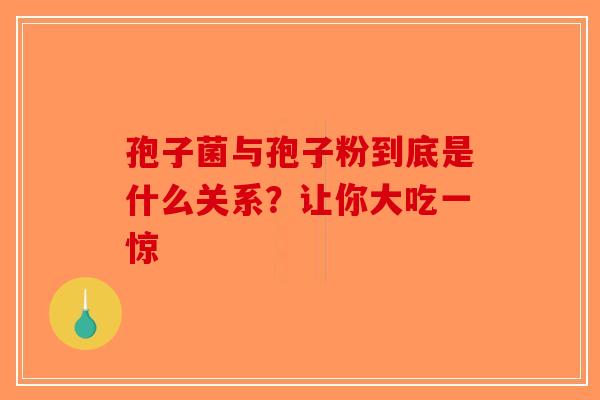 孢子菌与孢子粉到底是什么关系？让你大吃一惊-第1张图片-破壁灵芝孢子粉研究指南