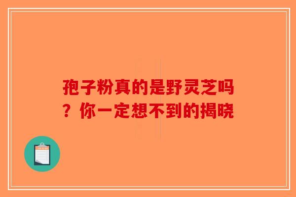 孢子粉真的是野灵芝吗？你一定想不到的揭晓-第1张图片-破壁灵芝孢子粉研究指南