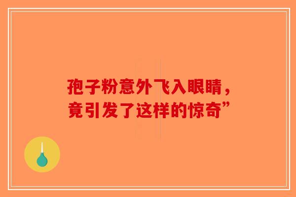 孢子粉意外飞入眼睛，竟引发了这样的惊奇”-第1张图片-破壁灵芝孢子粉研究指南