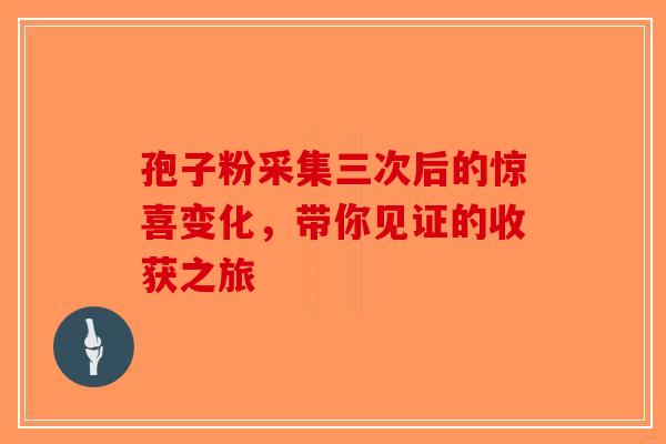 孢子粉采集三次后的惊喜变化，带你见证的收获之旅-第1张图片-破壁灵芝孢子粉研究指南