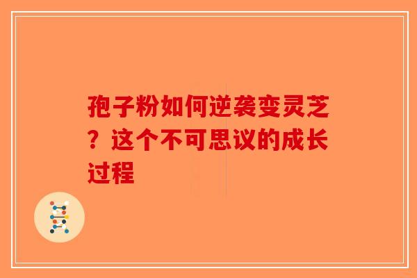 孢子粉如何逆袭变灵芝？这个不可思议的成长过程-第1张图片-破壁灵芝孢子粉研究指南